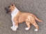 Pin Figure - American Staffordshire Terrier