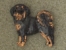 Pin Figure - Tibetan Mastiff