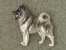 Pin Figure - Norwegian Elkhound