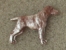 Pin Figure - German Shorthaired Pointer