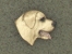 Odznak hlava - Labradorský retrívr
