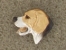 Pin Head - Beagle