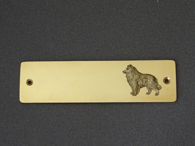 Border Collie - Brass Door Plate