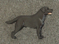 Labrador Retriever - Brooche Figure