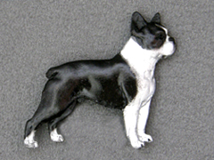 Boston Terrier - Brooche Figure