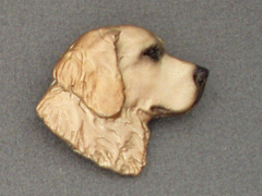 Golden Retriever - Brooche Small Head
