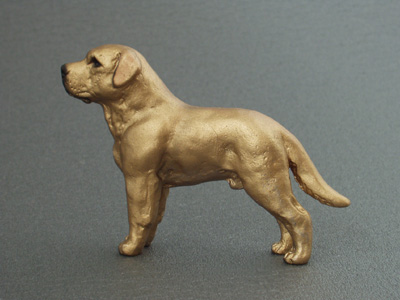 Labrador Retriever - Maxi Model