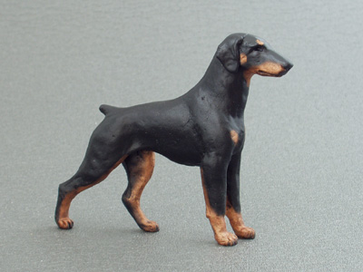 Dobermann - Maxi Model