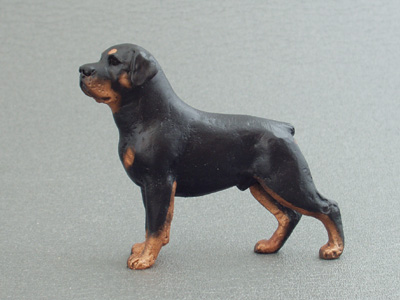 Rottweiler - Maxi Model