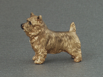 Norwich terrier - Mini Model