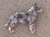 Australský honácký pes - Odznak postava