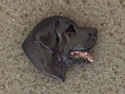 Labradorský retrívr - Odznak hlava