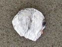 Bobtail - Pin Head
