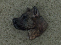 American Staffordshire Terrier - Pin Head