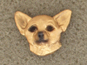 Chihuahua Smooth - Pin Head