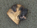 Bullmastiff - Pin Head